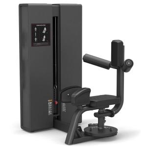 Торс-машина Insight Fitness PC2204 Торс-машина Insight Fitness PC2204