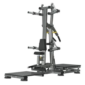 Дельт-машина сидя и стоя Gymmaster ALC2211 Дельт-машина сидя и стоя Gymmaster ALC2211