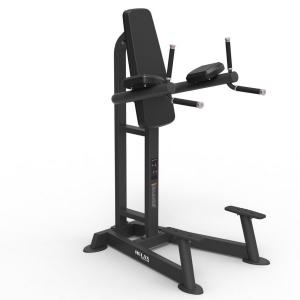 Пресс-брусья Insight Fitness PTT0215F Пресс-брусья Insight Fitness PTT0215F