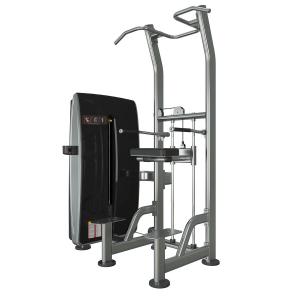 Гравитрон Gymmaster ALCCB009 Гравитрон Gymmaster ALCCB009