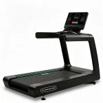 Беговая дорожка Gymmaster LZX-L60