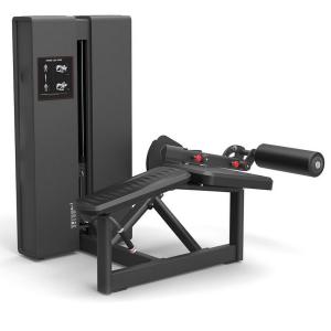 Сгибание ног лежа Insight Fitness PC2218 Сгибание ног лежа Insight Fitness PC2218