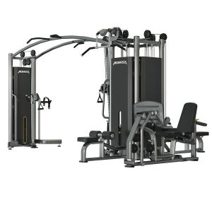 Мультистанция 5-ти позиционная Gymmaster ALCRA031