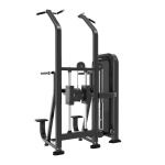 Гравитрон Insight Fitness TY24