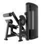 Разгибание спины Insight Fitness BH18