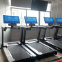 Беговая дорожка Gymmaster LZX-L30T