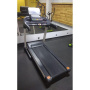 Беговая дорожка Gymmaster GT3D