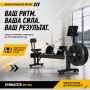 Гребной тренажер Дракон Gymmaster RW1802