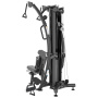 Мультистанция Gymmaster TF6005