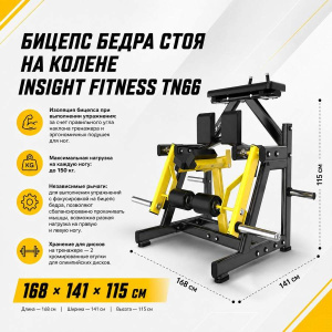 Бицепс бедра стоя на колене Insight Fitness TN66