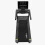 Беговая дорожка Insight Fitness T600 (LED)