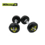 Гантельный ряд MD Buddy MD2104 27,5 - 50 кг (10 пар) шаг 2,5 кг Гантельный ряд MD Buddy MD2104 27,5 - 50 кг (10 пар) шаг 2,5 кг