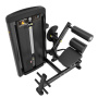 Разгибание спины Insight Fitness BH18