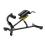 Гиперэкстензия наклонная Insight Fitness TN89E