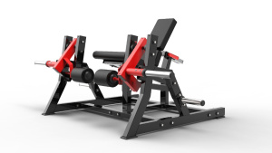 Разгибание ног сидя Insight Fitness TM37A