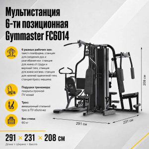 Мультистанция  6-ти позиционная Gymmaster  FC6014