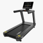 Беговая дорожка Insight Fitness T600 (LED)