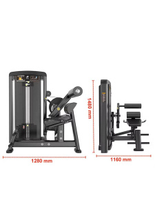 Пресс-машина/разгибание спины Insight Fitness BH35 Пресс-машина/разгибание спины Insight Fitness BH35