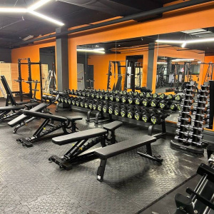 Скамья горизонтальная Insight Fitness TN34 Скамья горизонтальная Insight Fitness TN34
