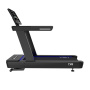 Беговая дорожка Insight Fitness T300 (LED)