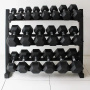 Гантельный ряд от 1 до 10 кг (10 пар) шаг 1 кг Gymmaster ANA-101