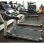 Беговая дорожка Gymmaster GT3D