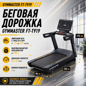 Беговая дорожка Gymmaster FT-T919
