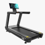 Беговая дорожка Insight Fitness T600 PS