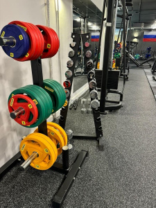 Стойка для дисков Insight Fitness TS206 Стойка для дисков Insight Fitness TS206