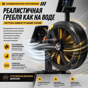 Гребной тренажер Дракон Gymmaster RW1802