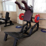 Гакк-присед рычажный Insight Fitness TB65