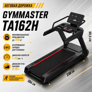 Беговая дорожка Gymmaster TA162H