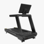 Беговая дорожка Insight Fitness T600 (LED)