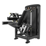 Сгибание ног Insight Fitness BH12