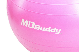 Гимнастический мяч MD Buddy MD1225 55 см Гимнастический мяч MD Buddy MD1225 55 см