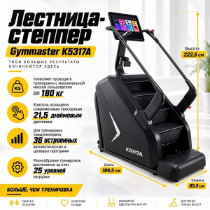 Лестница-степпер Gymmaster K5317A