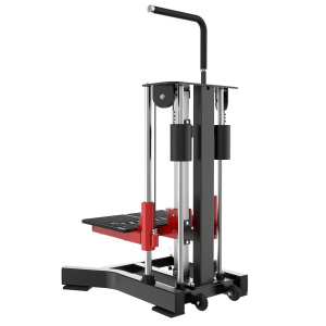 Стойка для приседания на одной ноге Insight Fitness DZ119 Стойка для приседания на одной ноге Insight Fitness DZ119