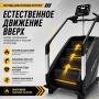 Лестница-степпер Insight Fitness EB8900 (LED)