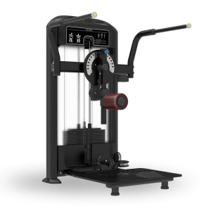 Мультихип Insight Fitness TF32 Мультихип Insight Fitness TF32