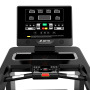 Беговая дорожка Insight Fitness T300 (LED)