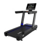 Беговая дорожка Insight Fitness T300 (LED)