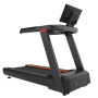 Беговая дорожка Insight Fitness X30