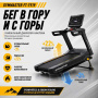 Беговая дорожка Gymmaster FT-T919