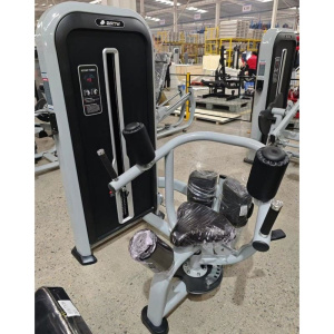 Торс-машина Insight Fitness TY12 Торс-машина Insight Fitness TY12