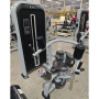 Торс-машина Insight Fitness TY12
