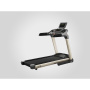 Беговая дорожка Gymmaster GT3D
