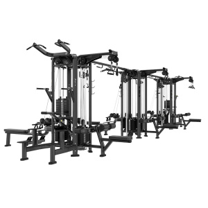 Мультистанция 12-ти позиционная Insight Fitness BH63