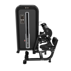 Пресс-машина/разгибание спины Insight Fitness TY31 Пресс-машина/разгибание спины Insight Fitness TY31