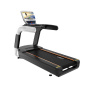 Беговая дорожка Insight Fitness TT-X5