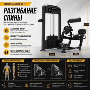 Разгибание спины Insight Fitness TF11 Разгибание спины Insight Fitness TF11